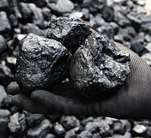 Top Quality Coal